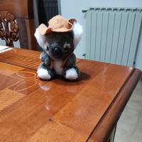 Peluche Koala  originale dell'Australia 