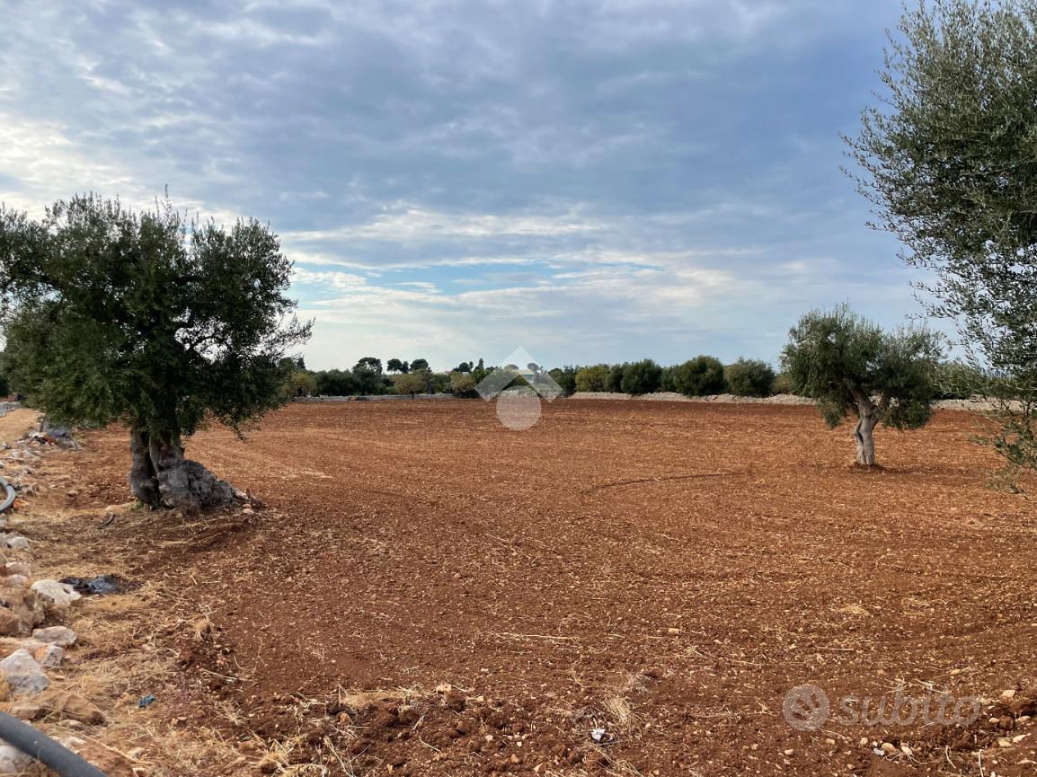 TER. AGRICOLO A POLIGNANO A MARE - Vista 2