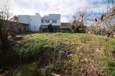 Terreno edificabile a Mesagne.