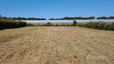 Terreno Edificabile