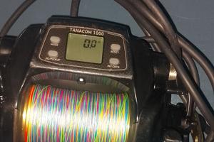 Mulinello elettrico Daiwa tanacom 1000