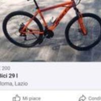 MTB Reset 29