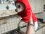 Immagine 5