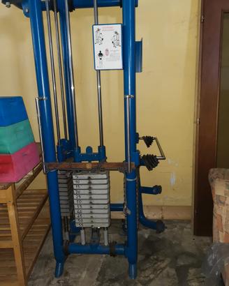 Giungla a tre postazioni 