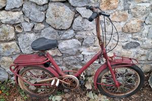 Moschito