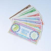 Skifidollar - Skifidol Repubblic - Lotto Banconote