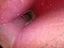 Immagine 6