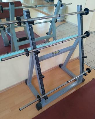 DISCHI, POTADISCHI E BILACIERE TECNOGYM