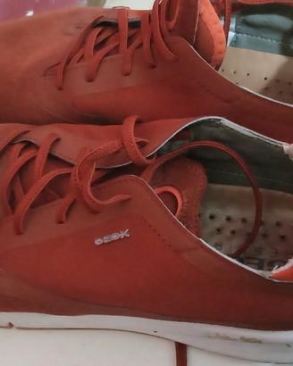 scarpa Geox numero 41 