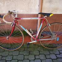 GIANT CADEX