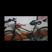 Mountainbike