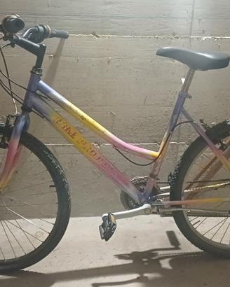 Bici  uomo 28 e 26