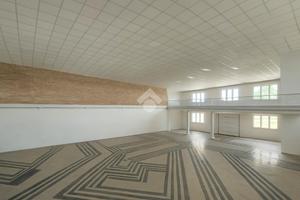 CAPANNONE A CASALE SUL SILE