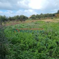 NUBIA - Terreno edificabile di 1.200mq ca