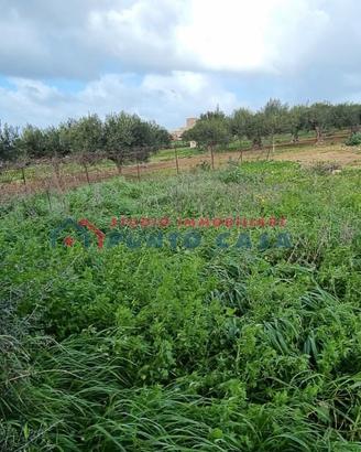 NUBIA - Terreno edificabile di 1.200mq ca