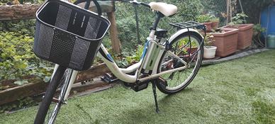 Bici elettrica 