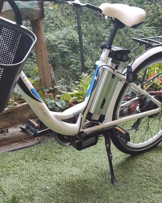 Bici elettrica 