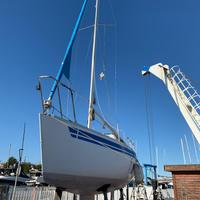 Barca a vela 6 metri - La Vela 6