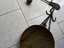 Immagine 6