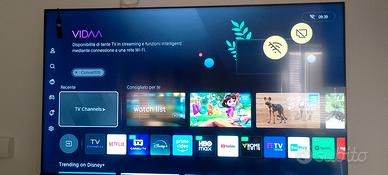 TV hesense 55 pollici Serie 4