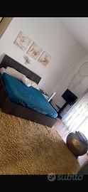 Tappeto Paco Home Shaggy 160x220 giallo senape