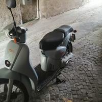 scarabeo