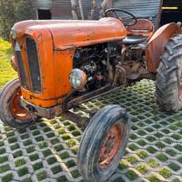 Trattore Fiat 312 con documenti