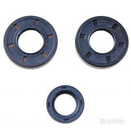 Kit paraoli Minarelli V1 KS corteco