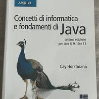 Libro Concetti di informatica e fondamenti di Java