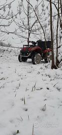 Quad 300