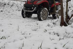 Quad 300