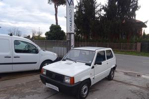 Fiat Panda 1100 i.e. cat Young