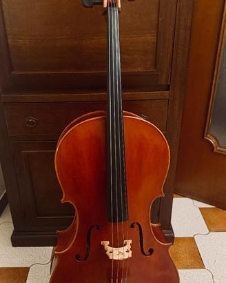 Violoncello di liuteria tedesca 2011