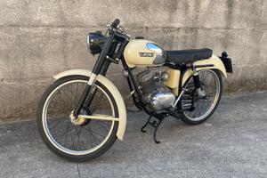 Laverda 75 sport - 1953