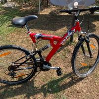 Mountain bike