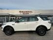 LAND ROVER Discovery Sport 2.0 TD4 150 CV Pure