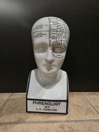 Testa Frenologica