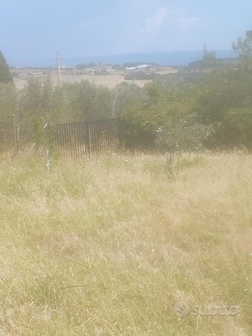 Terreno Agricolo e Intercluso. - Altro