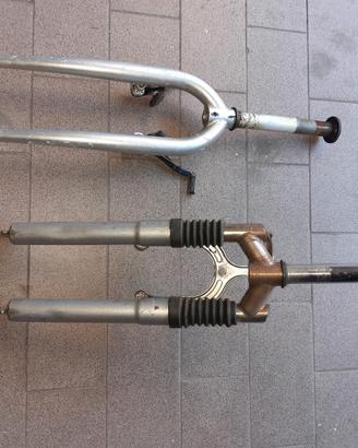 FORCELLE  BICICLETTA 