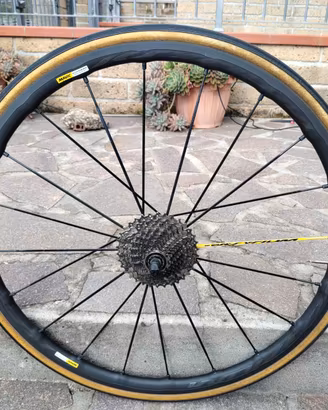 Ruote. Mavic Ksyrium. Pro Exalith.