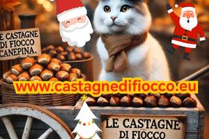 NOCCIOLETO 1/2 ettaro transitabile con trattore