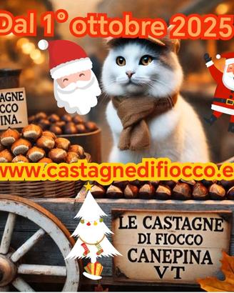 NOCCIOLETO 1/2 ettaro transitabile con trattore