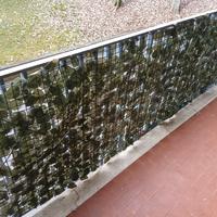 retina balcone 