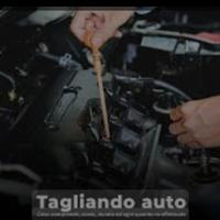 tagliando auto 