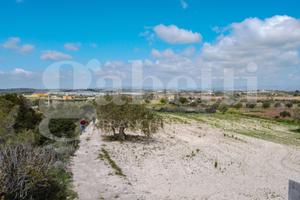 Terreno Agricolo Noto [cod. rif6042944VRG]