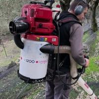 Aspiratore castagne nocciole olive