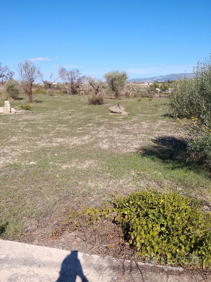 Terreno agricolo - Altro