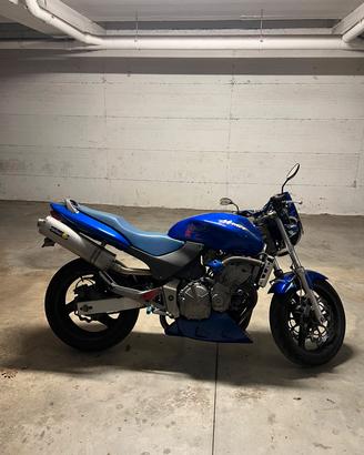 Honda Hornet 600 anno 2000