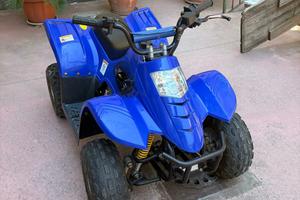 Quad Atv 4 Tempi 50cc Nuovo Viper a Marce 