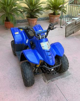Quad Atv 4 Tempi 50cc Nuovo Viper a Marce 
